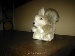 Встречи. Обсуждения встреч. Планирование. - WP_000874.jpg