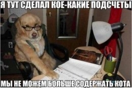 Встречи. Обсуждения встреч. Планирование. - 1uKKRcUsVMA.jpg
