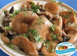 Встречи. Обсуждения встреч. Планирование. - Грибы маринованные2.jpg