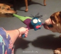 так его, так!