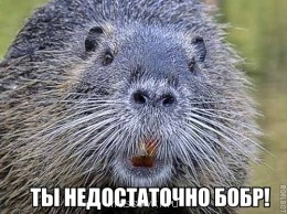 Встречи. Обсуждения встреч. Планирование. - file413185.jpg