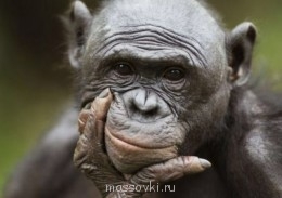 Встречи. Обсуждения встреч. Планирование. - image.jpg