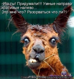 Встречи. Обсуждения встреч. Планирование. - WZ.jpg