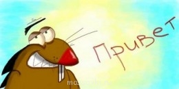 Встречи. Обсуждения встреч. Планирование. - Привет-злюки-бобры.jpg
