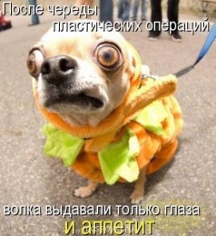 Встречи. Обсуждения встреч. Планирование. - 45a6a2272640c36ce7bb6356d230070a.jpg