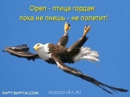 Встречи. Обсуждения встреч. Планирование. - image.jpg