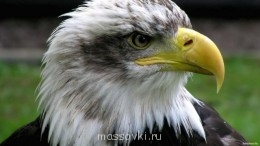 Встречи. Обсуждения встреч. Планирование. - image.jpg