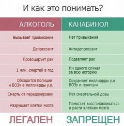 Встречи. Обсуждения встреч. Планирование. - image.png.jpg