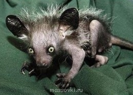 Встречи. Обсуждения встреч. Планирование. - image.jpg