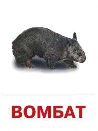 Встречи. Обсуждения встреч. Планирование. - 0004-004-Vombat.jpg