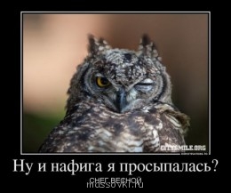 Встречи. Обсуждения встреч. Планирование. - 121643_nu-i-nafiga-ya-prosyipalas_demotivators_to.jpg