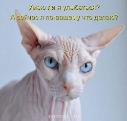 Встречи. Обсуждения встреч. Планирование. - 150Uz3jnE.jpg