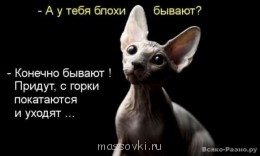 Встречи. Обсуждения встреч. Планирование. - image.jpg