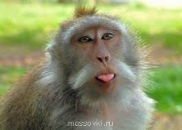 Встречи. Обсуждения встреч. Планирование. - image.jpg