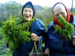Встречи. Обсуждения встреч. Планирование. - 495730.jpg