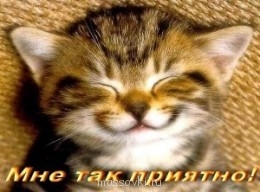 Встречи. Обсуждения встреч. Планирование. - image.jpg