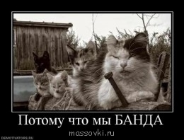 Встречи. Обсуждения встреч. Планирование. - image.jpg