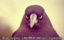 Встречи. Обсуждения встреч. Планирование. - bc23b9cf48fbb4425c306060e833cd24.jpg