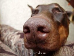 Встречи. Обсуждения встреч. Планирование. - 17.jpg