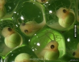 Встречи. Обсуждения встреч. Планирование. - image.jpg