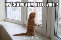 Встречи. Обсуждения встреч. Планирование. - a1ee074fa77f6f67395311d34057bffa.jpg