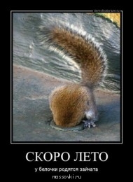 Встречи. Обсуждения встреч. Планирование. - image.jpg