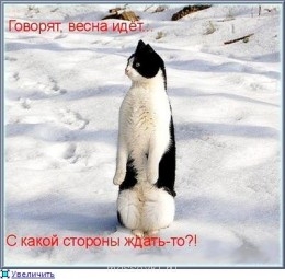 Встречи. Обсуждения встреч. Планирование. - image.jpg
