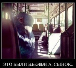 Встречи. Обсуждения встреч. Планирование. - 1003.jpg