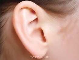 Встречи. Обсуждения встреч. Планирование. - orecchio.jpg