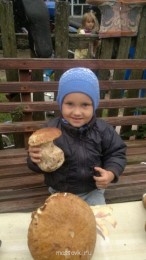 Встречи. Обсуждения встреч. Планирование. - image.jpg