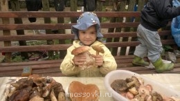 Встречи. Обсуждения встреч. Планирование. - image.jpg