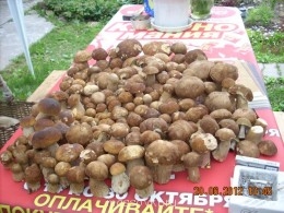 Встречи. Обсуждения встреч. Планирование. - DSCN0624.JPG