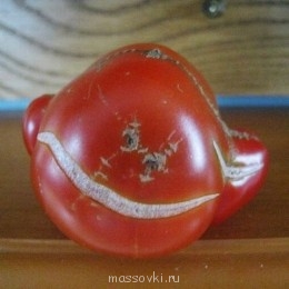Встречи. Обсуждения встреч. Планирование. - Krcg21auEX4.jpg