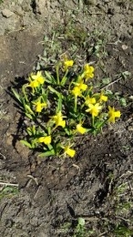 Встречи. Обсуждения встреч. Планирование. - 20140426_150246.jpg