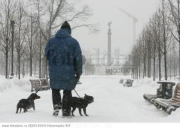 Встречи. Обсуждения встреч. Планирование. - QQ00-8656.jpg