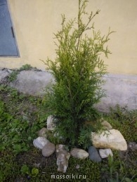 Встречи. Обсуждения встреч. Планирование. - WP_000968.jpg