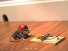 Встречи. Обсуждения встреч. Планирование. - getImage (11).jpg