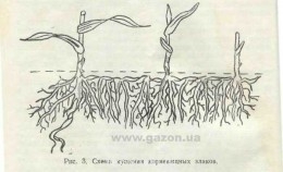 Встречи. Обсуждения встреч. Планирование. - image.jpg