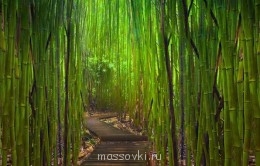 Встречи. Обсуждения встреч. Планирование. - image.jpg