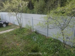 Встречи. Обсуждения встреч. Планирование. - WP_001029.jpg