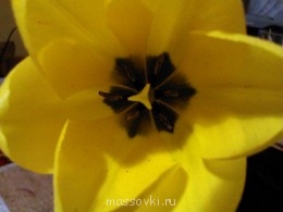Встречи. Обсуждения встреч. Планирование. - WP_001010.jpg