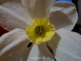 Встречи. Обсуждения встреч. Планирование. - WP_001016.jpg