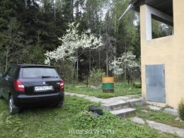 Встречи. Обсуждения встреч. Планирование. - WP_001005.jpg
