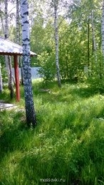 Встречи. Обсуждения встреч. Планирование. - WP_20140517_004.jpg