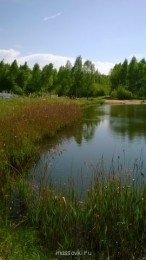 Встречи. Обсуждения встреч. Планирование. - WP_20140517_008.jpg