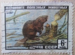 Встречи. Обсуждения встреч. Планирование. - IMG_2098.jpg