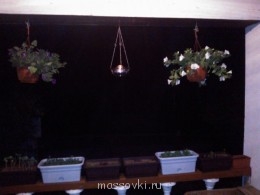 Встречи. Обсуждения встреч. Планирование. - WP_001053.jpg