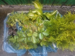 Встречи. Обсуждения встреч. Планирование. - WP_001075.jpg