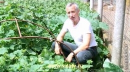 Встречи. Обсуждения встреч. Планирование. - 1283193243_rrrsrsrrsr.jpg