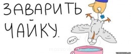 Встречи. Обсуждения встреч. Планирование. - 1376068489_chayka.jpg